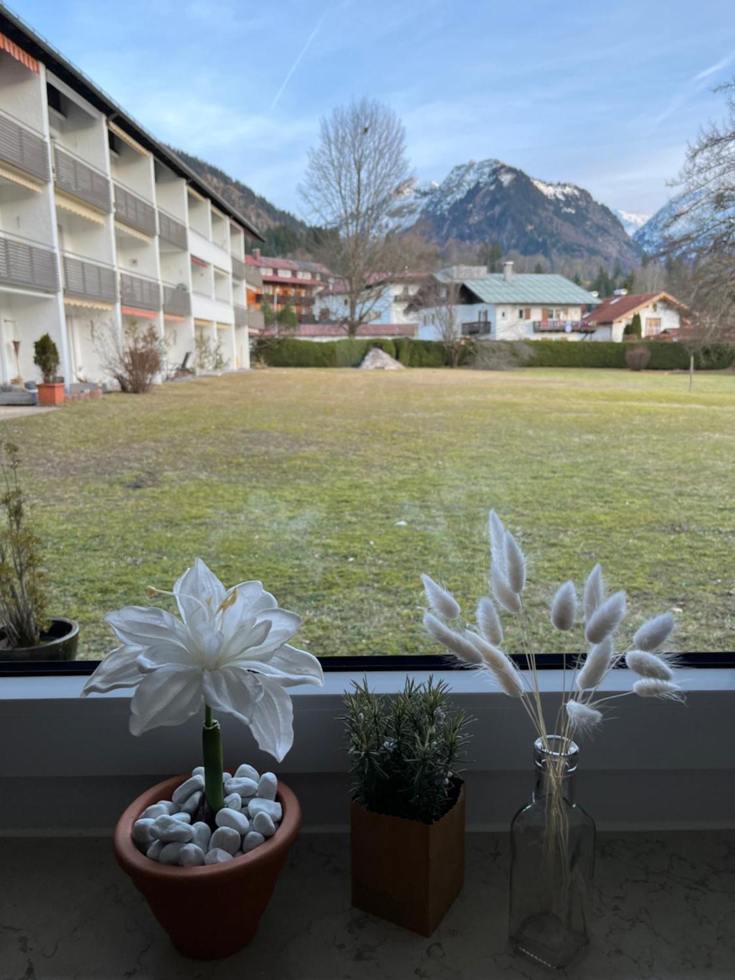 In Mit Wundervollem Bergpanorama Appartement